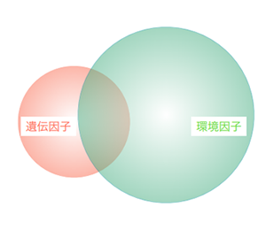 こどもの歯科矯正